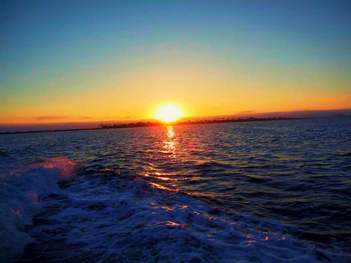 IMG_3011497753583_20130819001623156