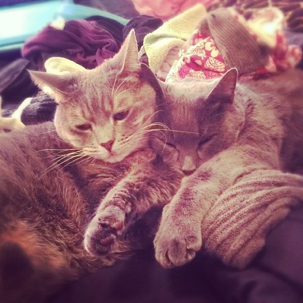 02d5f91e5e9a11e39ec512d0d5ebedd7_8