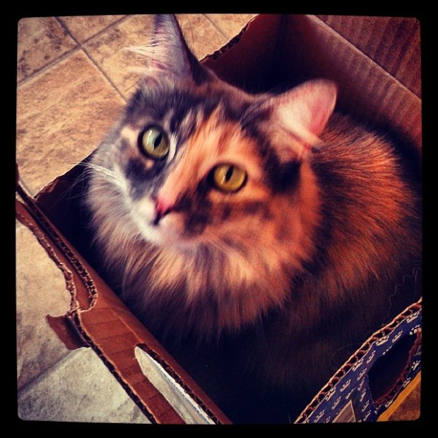 6d9d5b5e496c11e3946c12acc09e8934_8