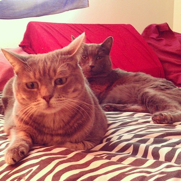 9b0864524ae411e38aa612d662e502aa_8