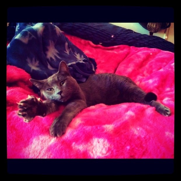 b21a7e8a489811e397af22000aaa04ef_8