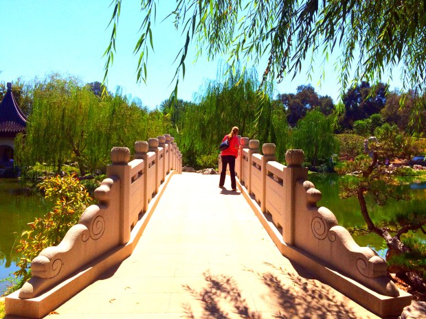 Made with Repix (http://repix.it)