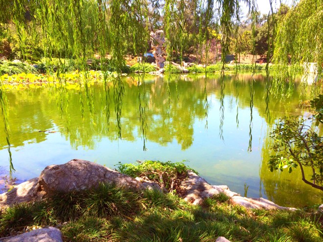 Made with Repix (http://repix.it)