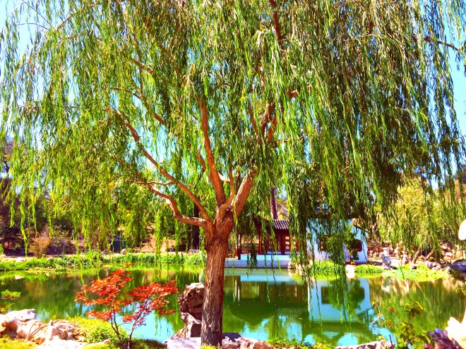 Made with Repix (http://repix.it)