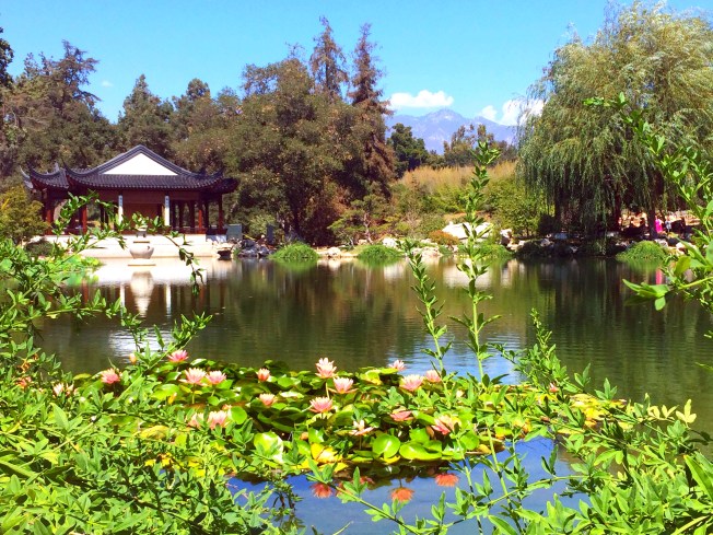 Made with Repix (http://repix.it)