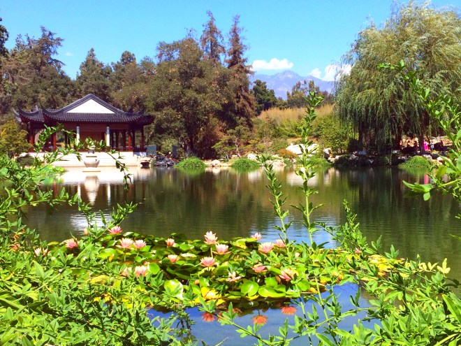 Made with Repix (http://repix.it)