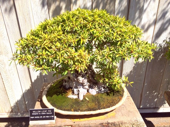 Made with Repix (http://repix.it)