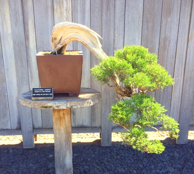 Made with Repix (http://repix.it)