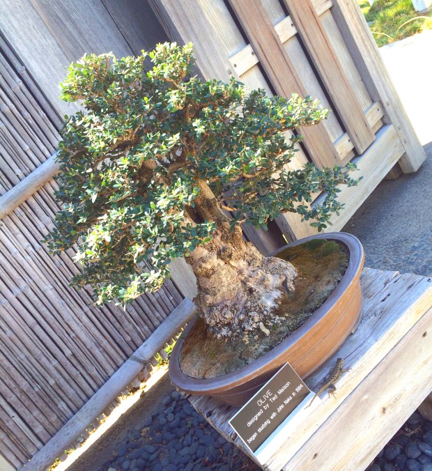 Made with Repix (http://repix.it)