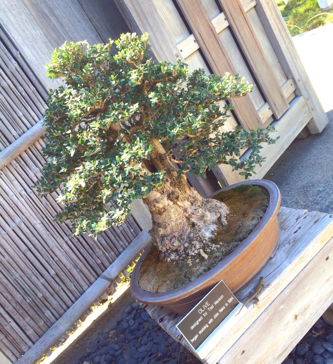 Made with Repix (http://repix.it)