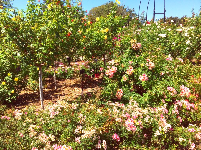 Made with Repix (http://repix.it)