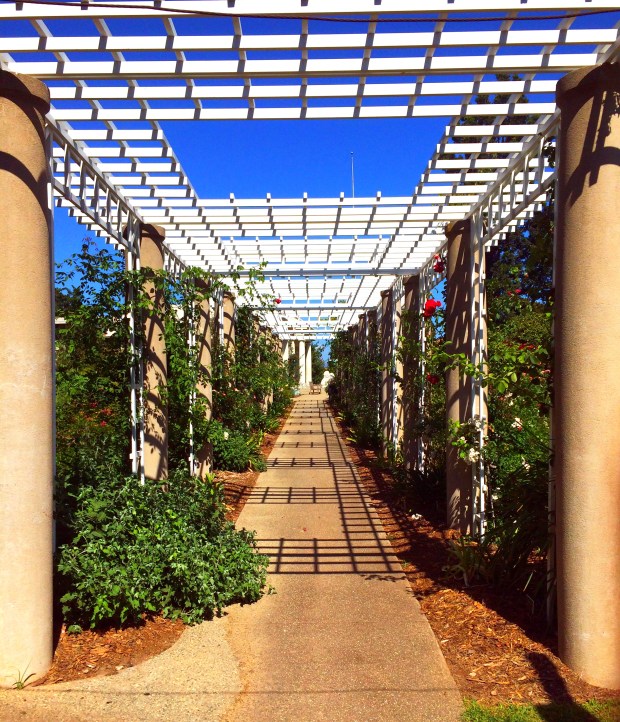 Made with Repix (http://repix.it)