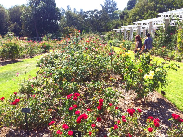 Made with Repix (http://repix.it)