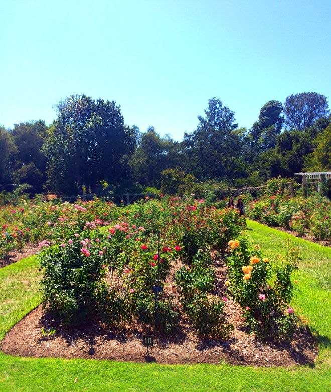 Made with Repix (http://repix.it)