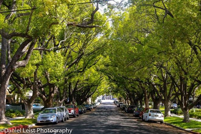 11407316_1622126948033970_8826683589237218819_n