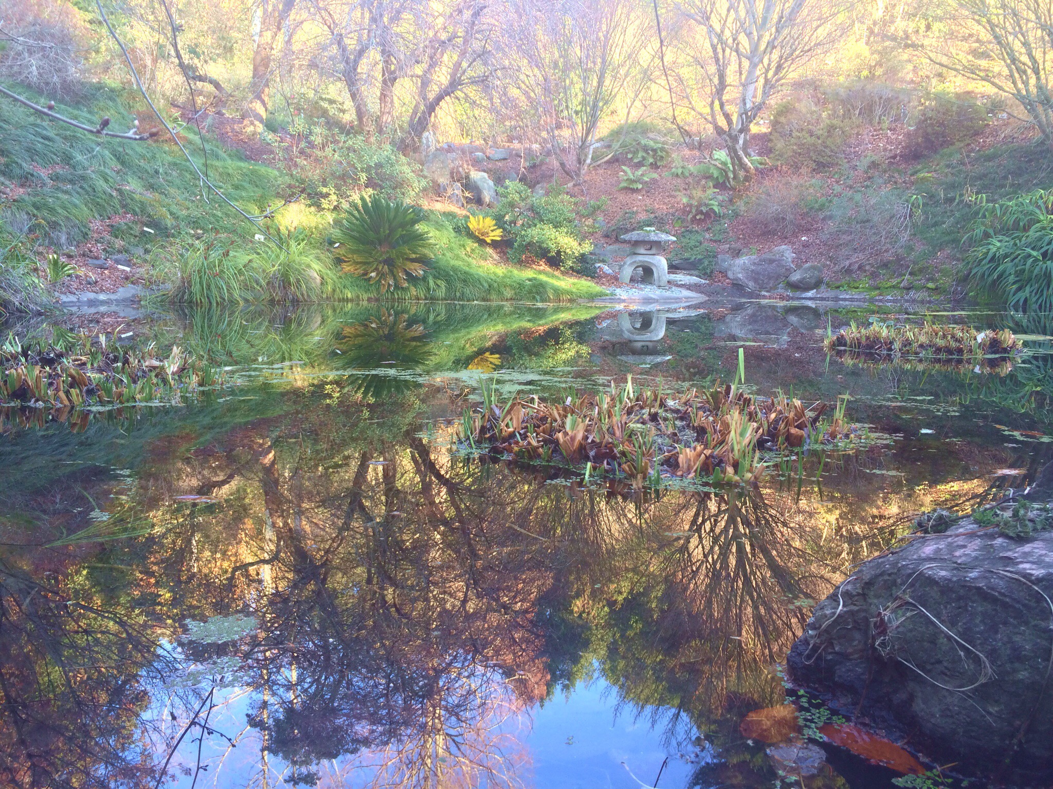 Made with Repix (http://repix.it)