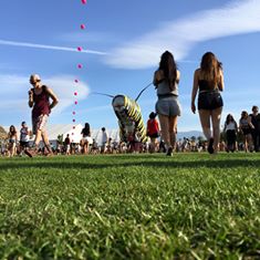 12512417_10102988303762164_7090201985702856433_n