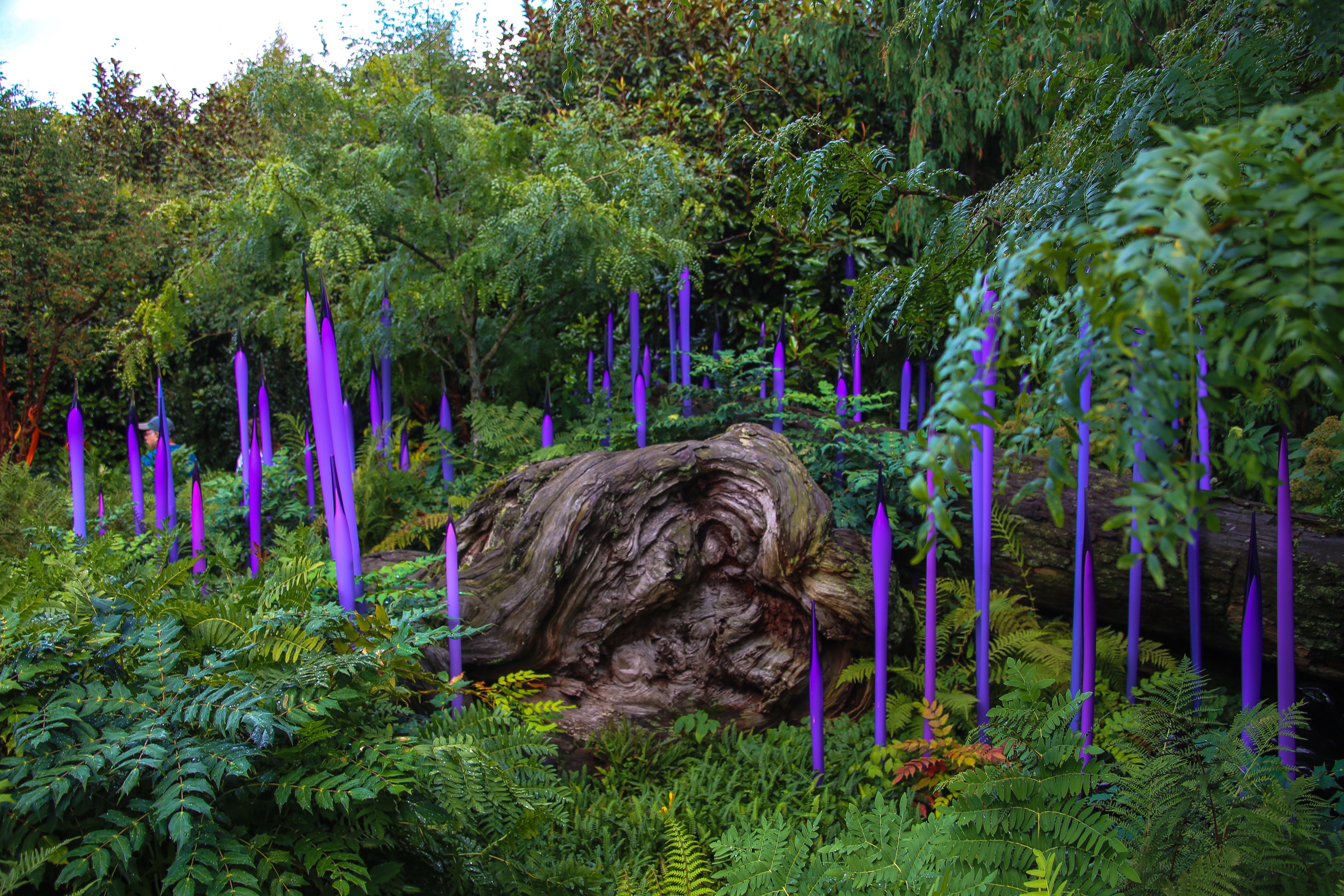 This image has an empty alt attribute; its file name is 0c8e67ff-f270-40bb-8754-452dfb4f0e30.jpg